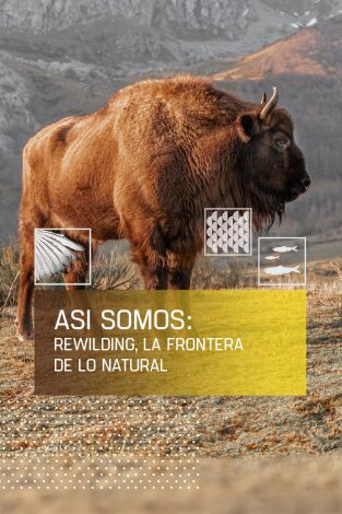 Así somos: Rewilding: La frontera de lo natural
