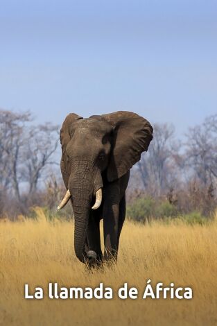 La llamada de África