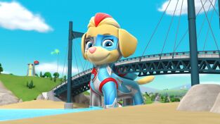 La patrulla canina Single Story (T6): Ep.12 La Patrulla salva a las crías de avestruz.