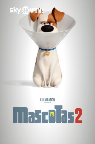 Mascotas 2