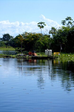 Los ríos y la vida: El Amazonas
