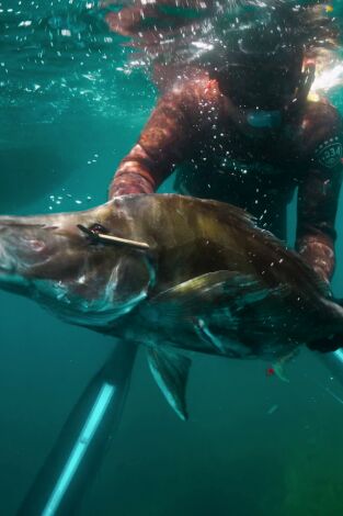 Pesca submarina en los mares del sur: Far Flung Fiji