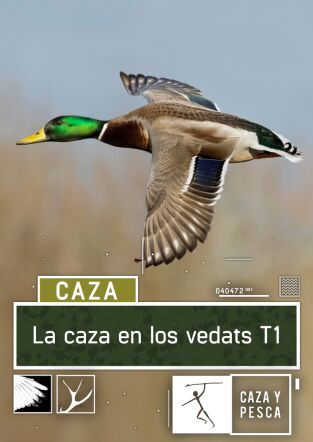 La caza en los Vedats: Patos en el Vedat de Sueca