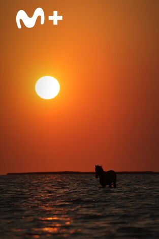 The Americas: La Costa Atlántica