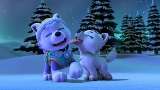 La patrulla canina Single Story (T6): Ep.19 La patrulla salva el desayuno