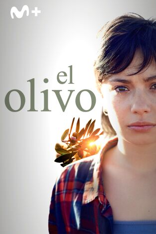 El olivo