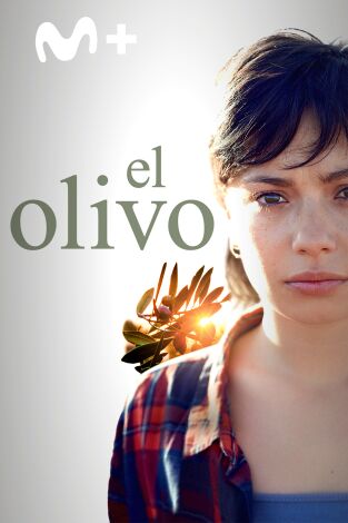 El olivo