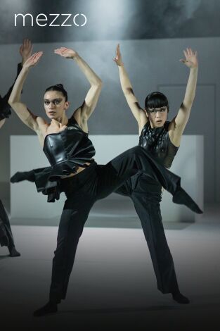 Don Quixote - Ballet de Berna