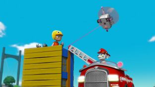 La patrulla canina Single Story (T6): Ep.20 La patrulla salva a los Turbot en el concurso de avistar aves