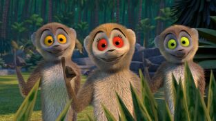 Viva el rey Julien (T2): Ep.44 El gallo de la selva