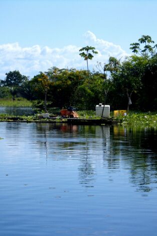 Los ríos y la vida: El Rin
