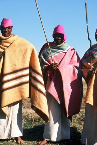 Inside Africa: Inside Africa LIAF