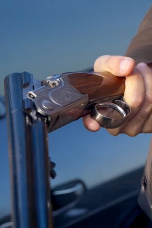 Locos por el 20: Desmintiendo las limitaciones del 20