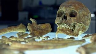 Coliseo: ascenso y caída: Dominación