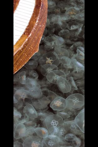 Misterios de las profundidades, con Jeremy Wade: Misterios del destructor submarino