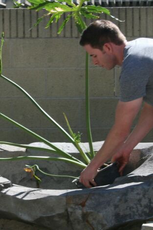 Flip o flop: El valor de una piscina