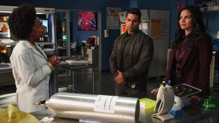 Navy: Investigación criminal (T20): Ep.16 El efecto mariposa