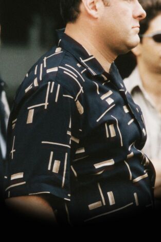 Los Soprano (T1): Ep.2 46 largo