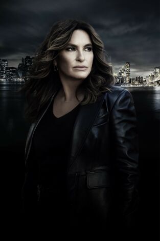 Ley y orden: unidad de víctimas especiales