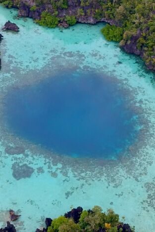 El círculo mágico del arrecife: El paraíso de coral
