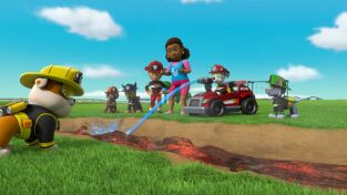 La patrulla canina Single Story (T6): Ep.25 La patrulla salva a una familia de murciélagos