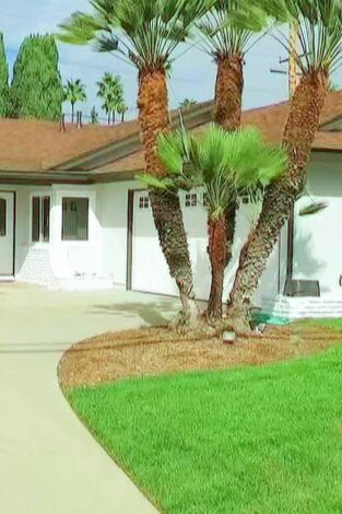 Flip o flop: Una compra sustituta