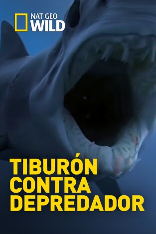 Tiburón contra depredador