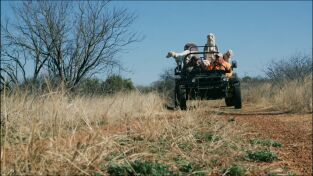 Cazar para conservar: Conservar la codorniz en Texas