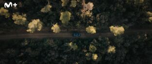 Crímenes: Libélula