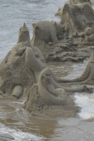 Desafío en la arena