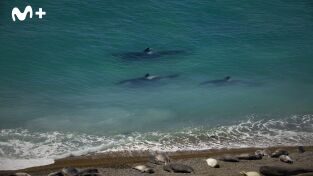 The Americas: Patagonia