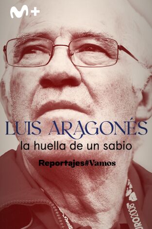 Luis Aragonés, la huella de un sabio
