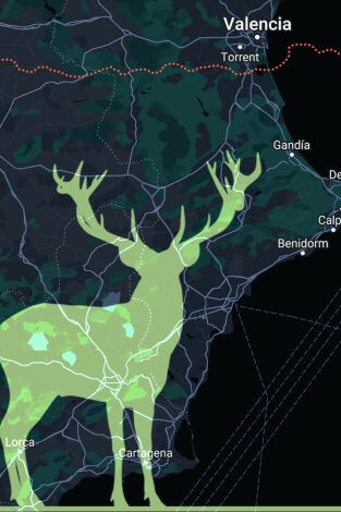 Monteando en los campos de Calatrava