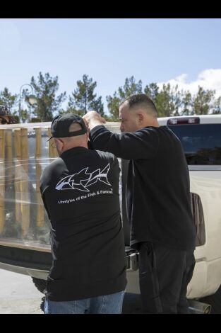 Acuarios XXL: Un tanque para Donut Mania