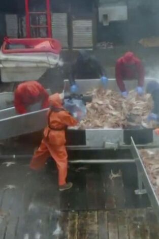 Pesca radical: Contra viento y marea