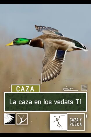 La caza en los Vedats: El Vedat de Silla