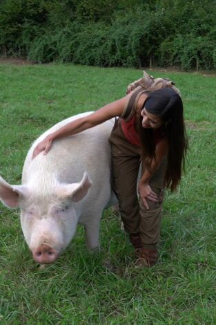 ¡Qué animal!: Aprovechados