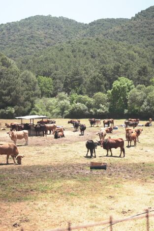 Granjas en acción: Episodio 3