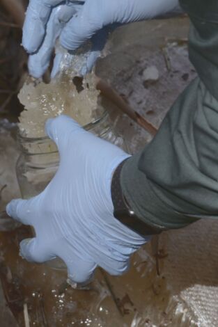 Seprona en acción: Episodio 7