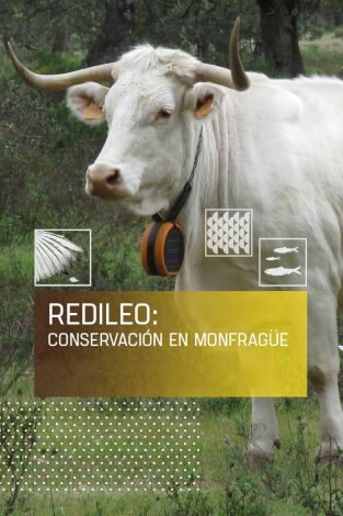 Redileo: Conservación en Monfragüe