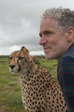 Animales con cámaras: Episodio 1