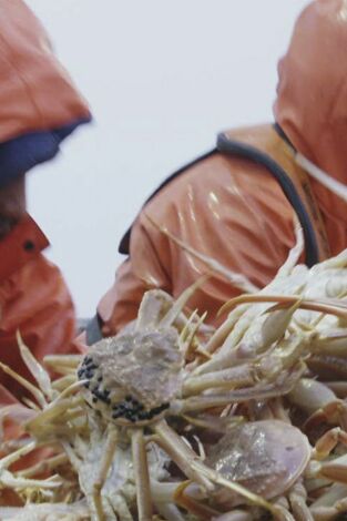 Pesca radical: La verdad te hará libre