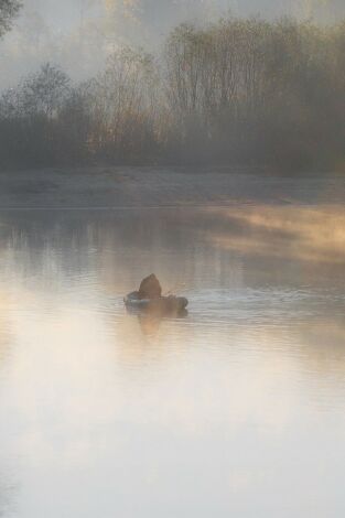 Los primeros basses otoñales