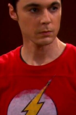 Big Bang (T4): Ep.21 La disección del contrato