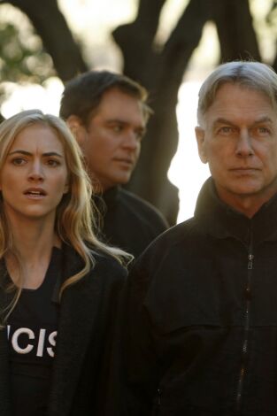 Navy: Investigación criminal (T11): Ep.5 Antes Maleante