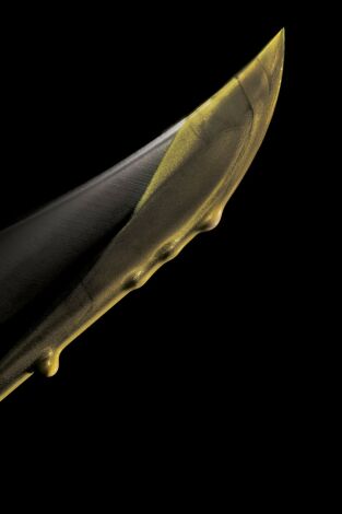 Venganza: millonarios asesinos