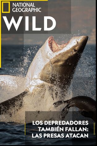 Los depredadores también fallan: las presas atacan
