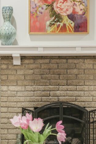 Home Town: El terror de las termitas