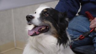 El increíble doctor Pol: El círculo de Pol