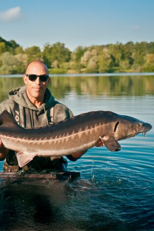 La aventura de la pesca: Episodio 4